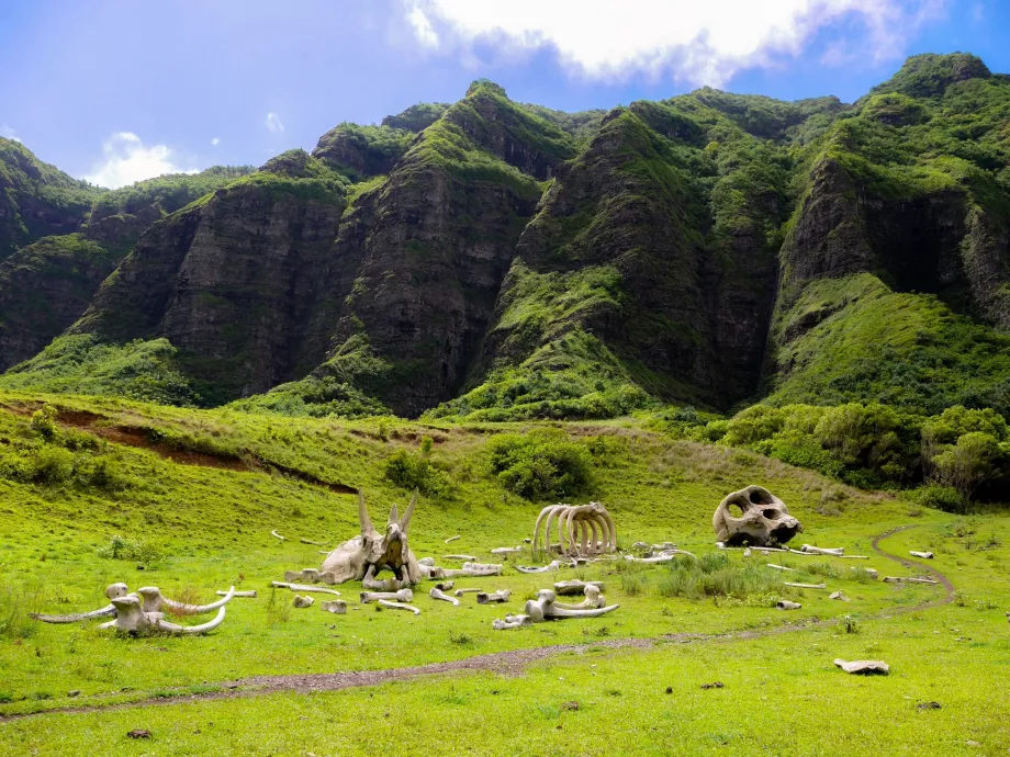 Ράντσο Kualoa