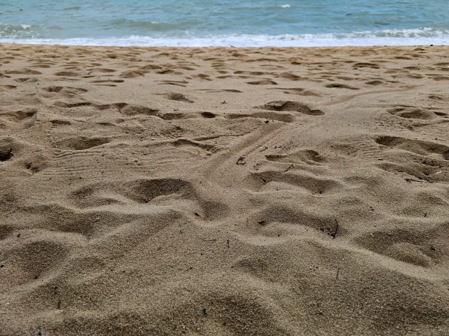 Χονδρότερη άμμος στην παραλία του ξενοδοχείου