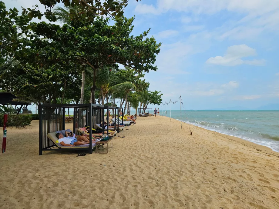 Παραλία ξενοδοχείου