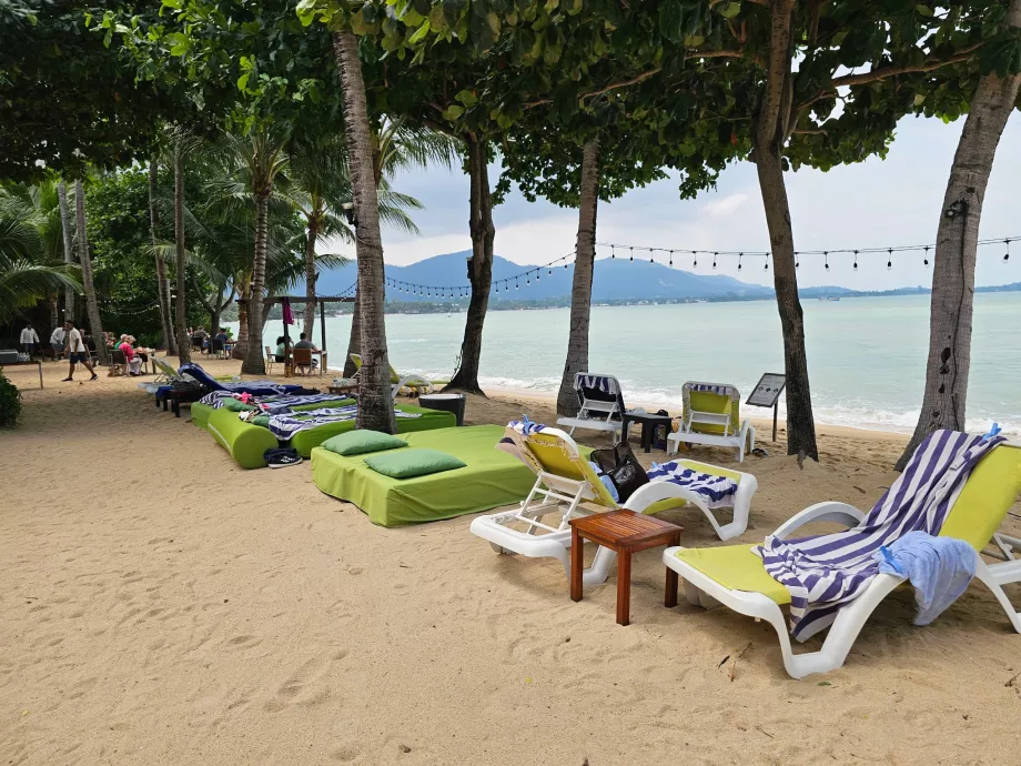 Παραλία ξενοδοχείου