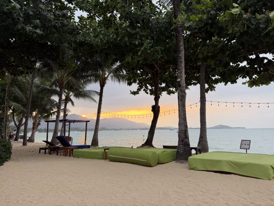 Παραλία ξενοδοχείου με ξαπλώστρες στο ηλιοβασίλεμα