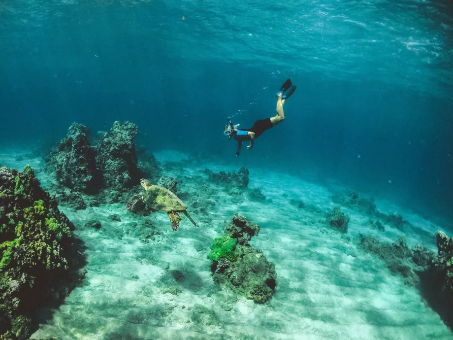 Αναπνευστικό κολύμπι με αναπνευστήρα Oahu
