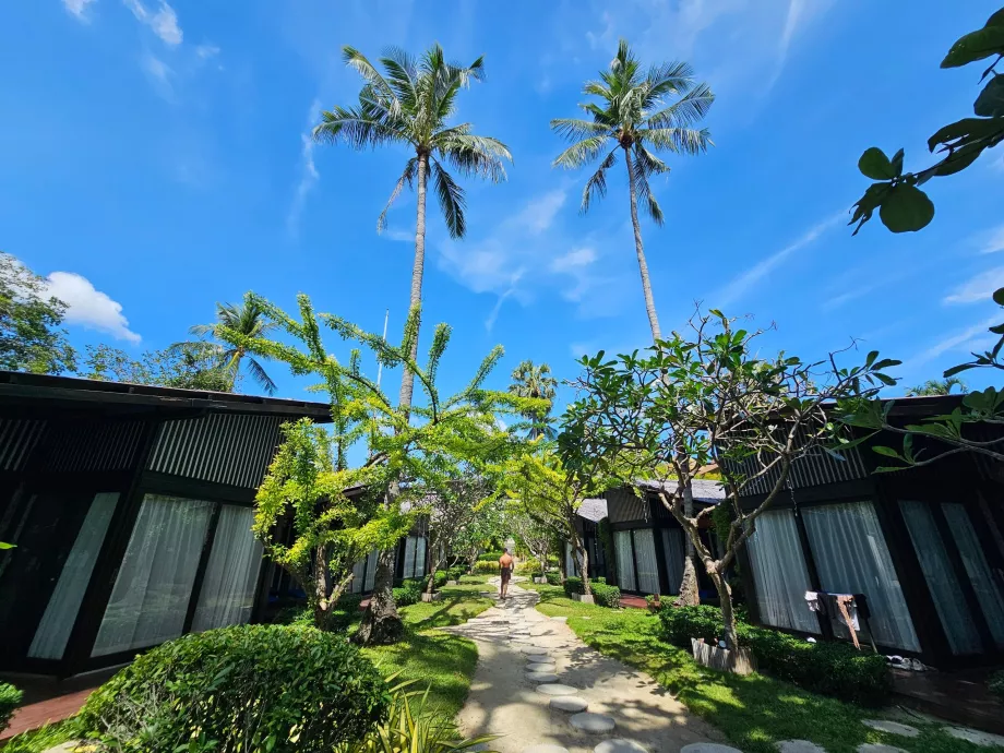 Περιοχή Homm Chura