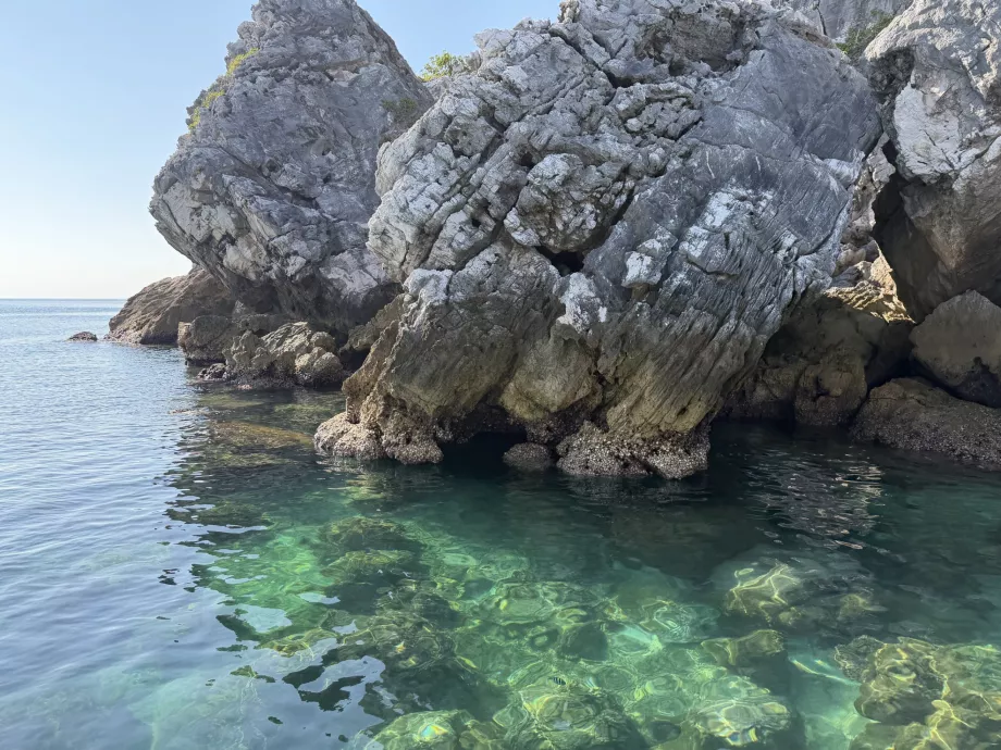 Σημείο ψαροντούφεκου