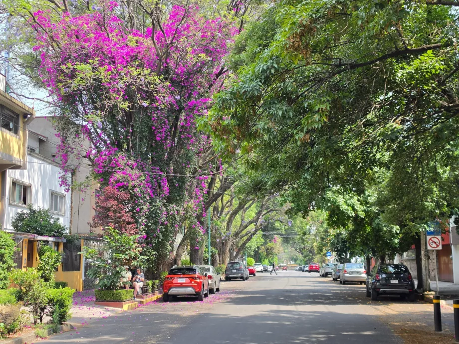 Επαρχία της Coyoacán
