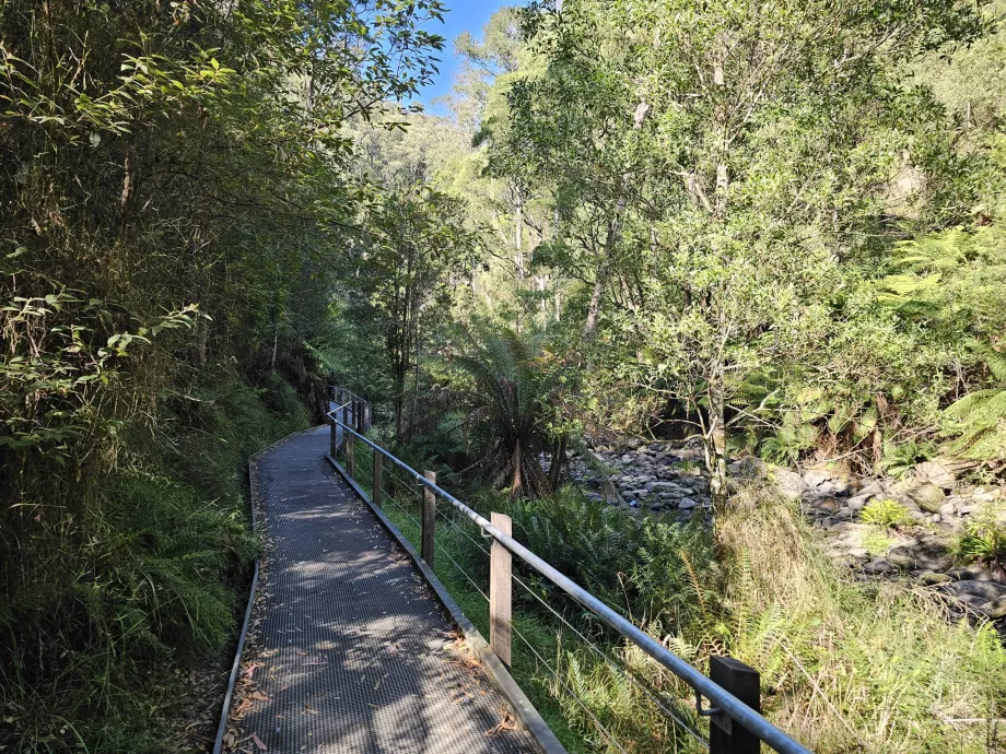 Μονοπάτι Stevenson Falls Trail