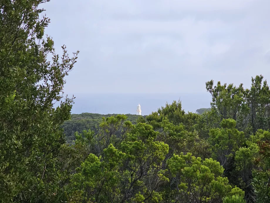 Μια από τις λίγες απόψεις του φάρου από το Great Ocean Walk