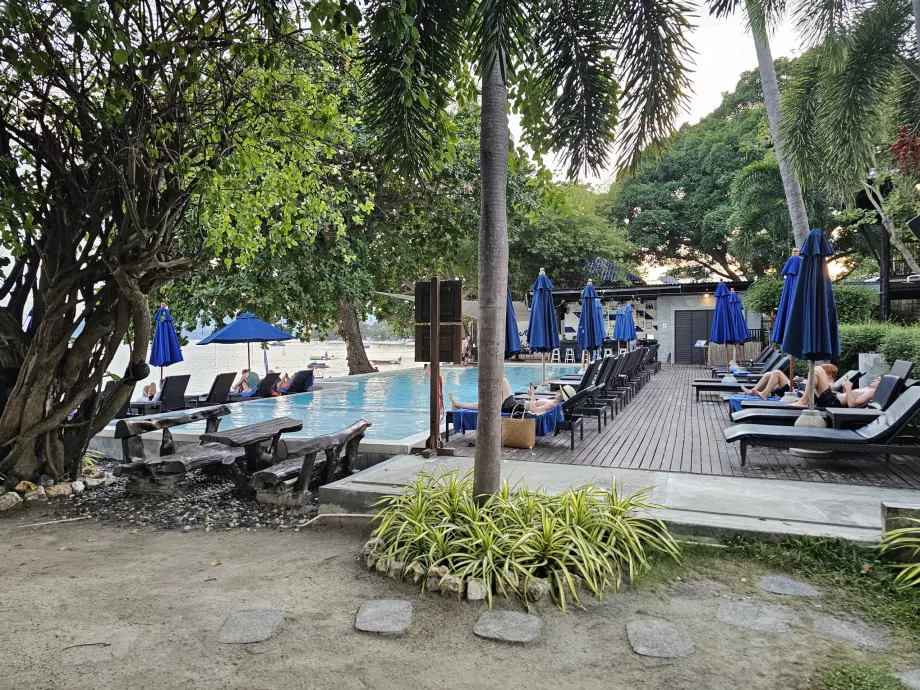 Πισίνα με ξαπλώστρες
