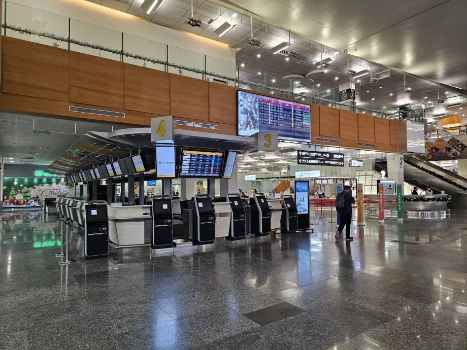 Γκισέ check-in, διεθνής τερματικός σταθμός