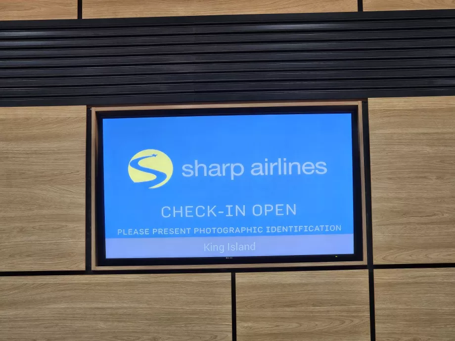 Check-in στο αεροδρόμιο