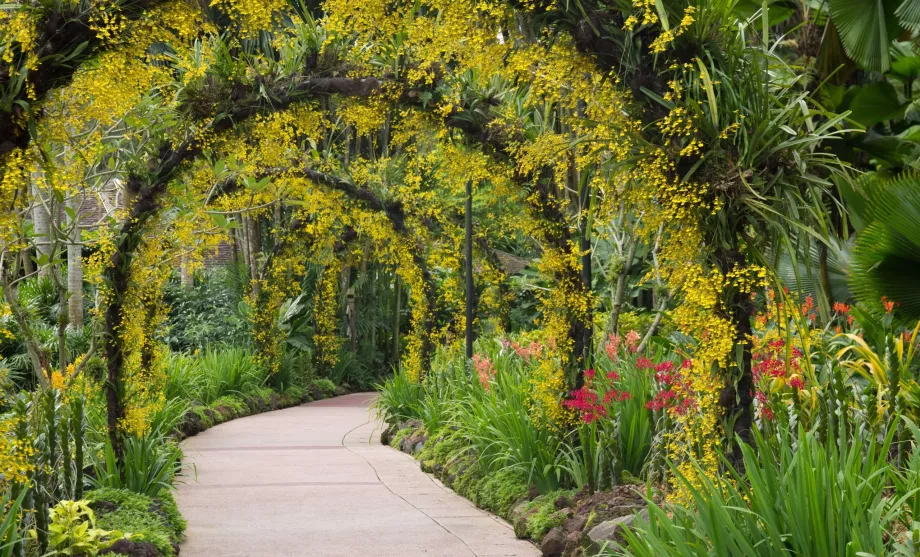 Βοτανικός Κήπος της Σιγκαπούρης