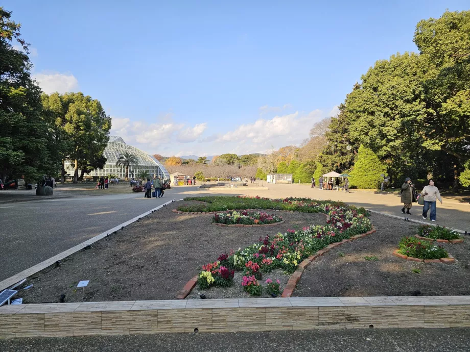 Βοτανικοί Κήποι του Κιότο