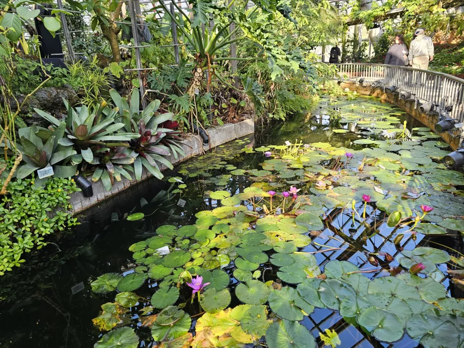 Βοτανικοί Κήποι του Κιότο