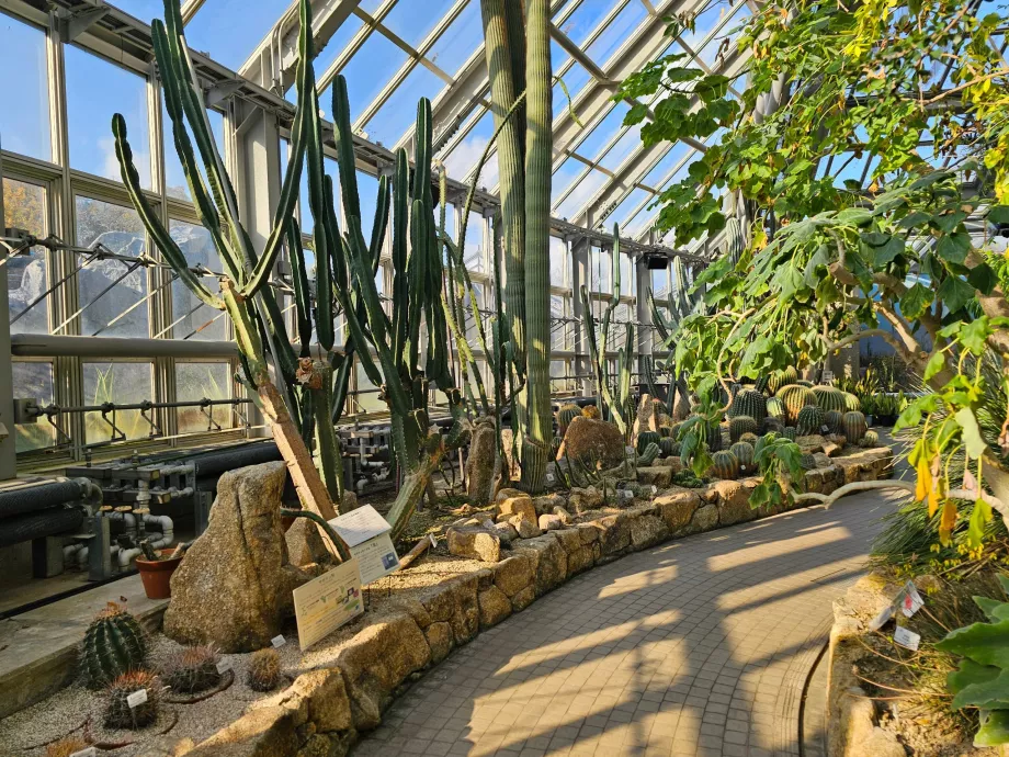 Βοτανικοί Κήποι του Κιότο