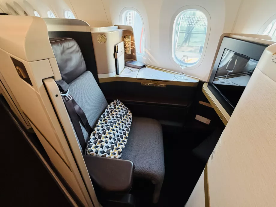 Λεπτομέρεια του καθίσματος business class της Etihad B789 με πόρτα