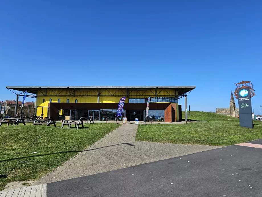Ενυδρείο Tynemouth