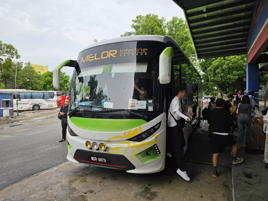 Melor Interline, προπονητής
