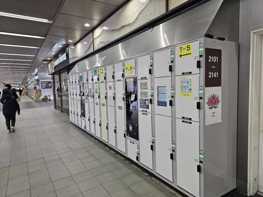 Θυρίδες για αποθήκευση αποσκευών