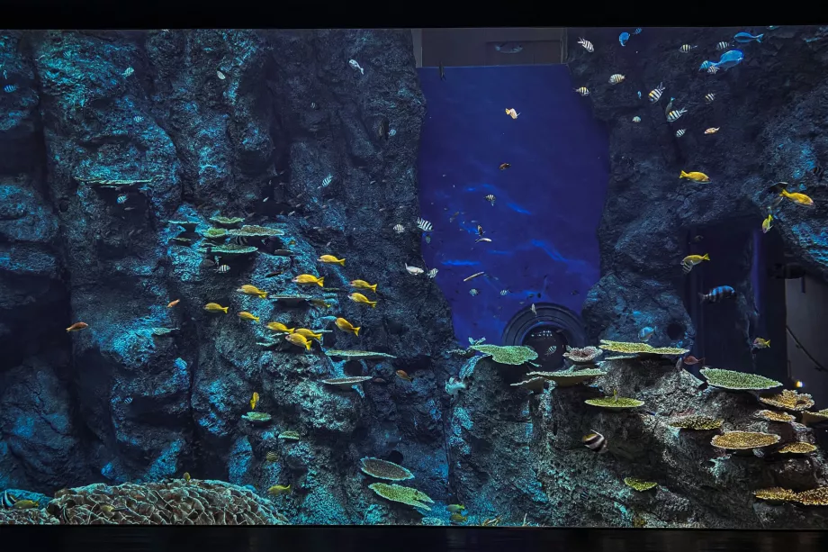 Πάρκο Sea Life Park