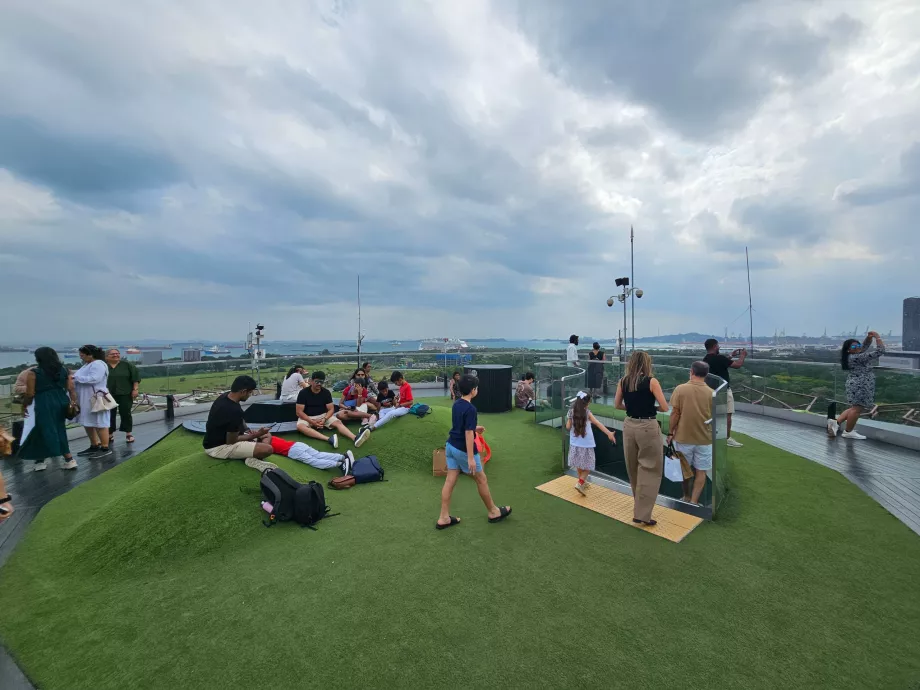 Παρατηρητήριο Supertree