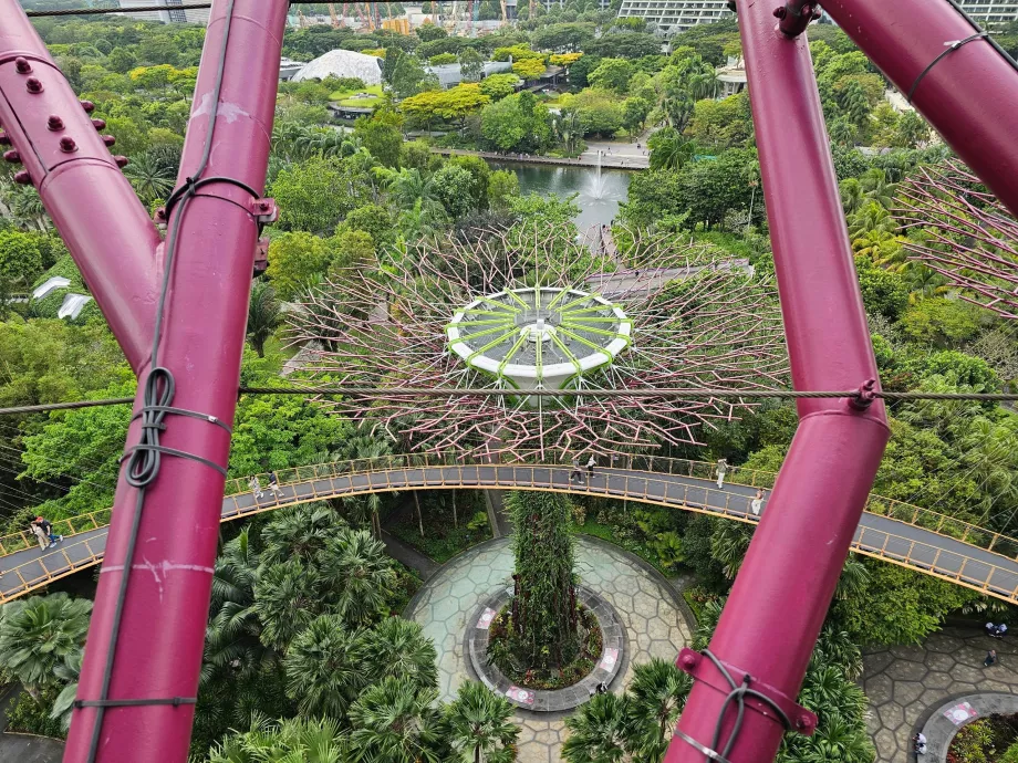 Παρατηρητήριο Supertree