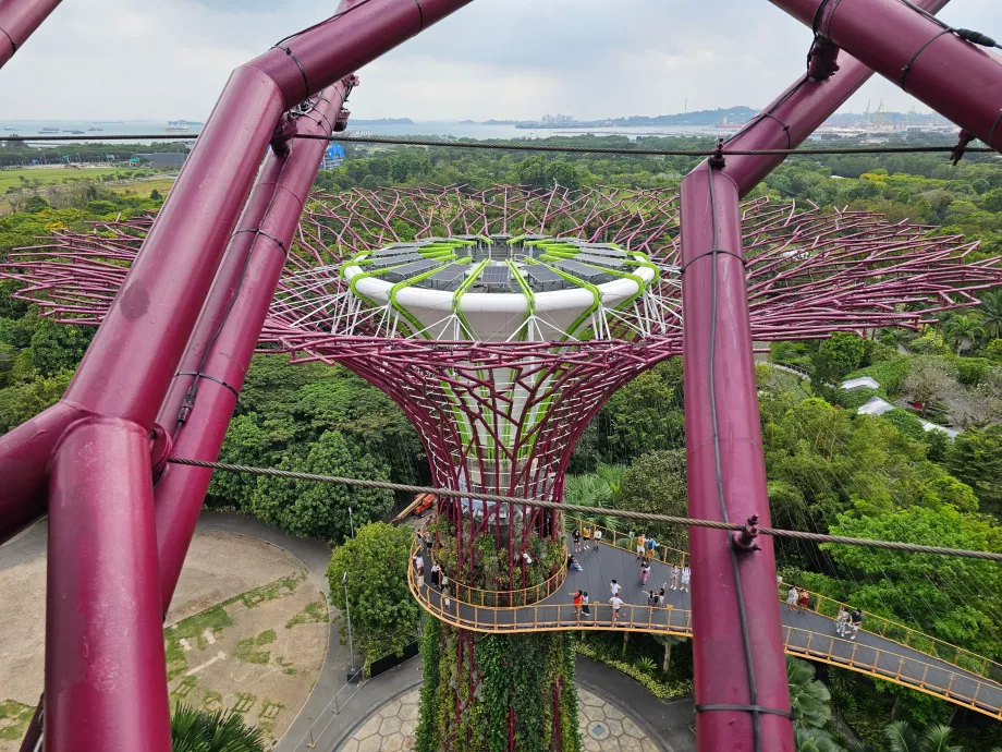 Παρατηρητήριο Supertree