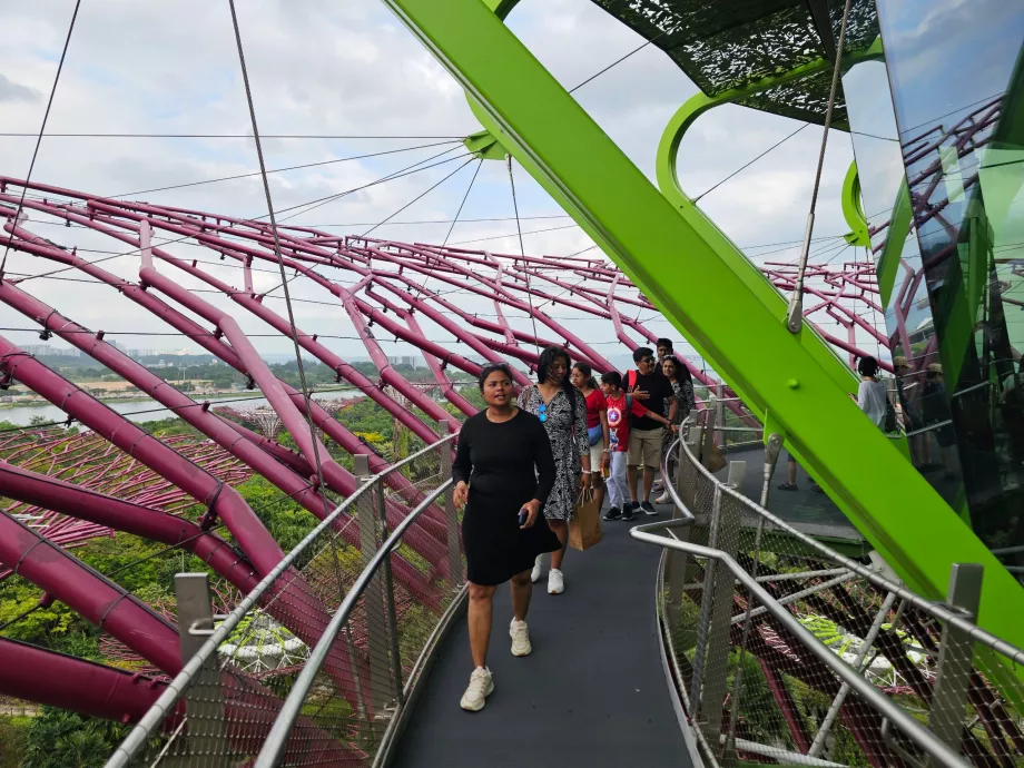 Παρατηρητήριο Supertree