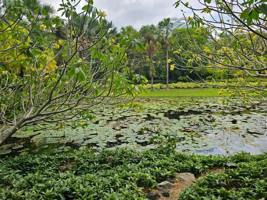 Κήποι δίπλα στον κόλπο