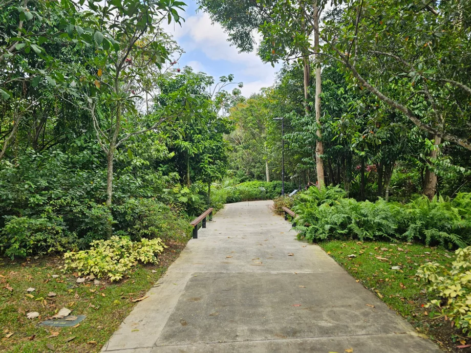 Κήποι δίπλα στον κόλπο