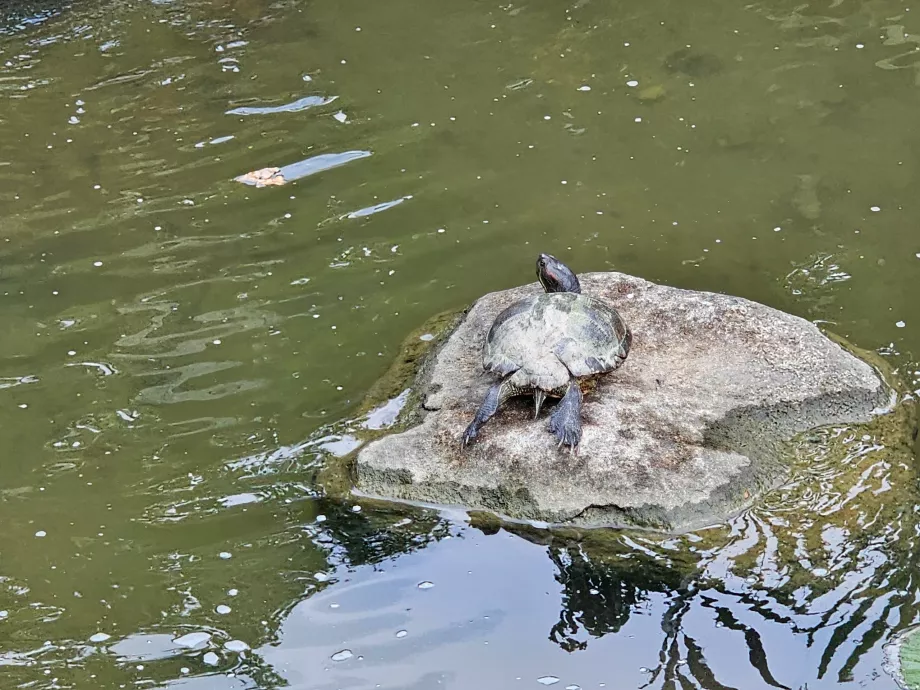 Κήποι δίπλα στον κόλπο