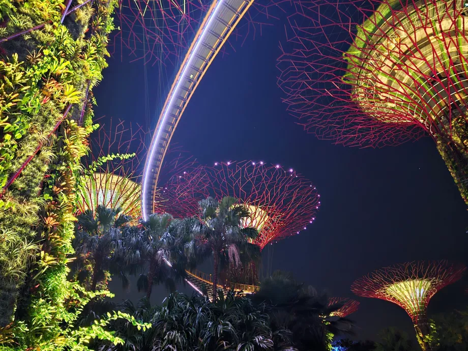 Ραψωδία του κήπου