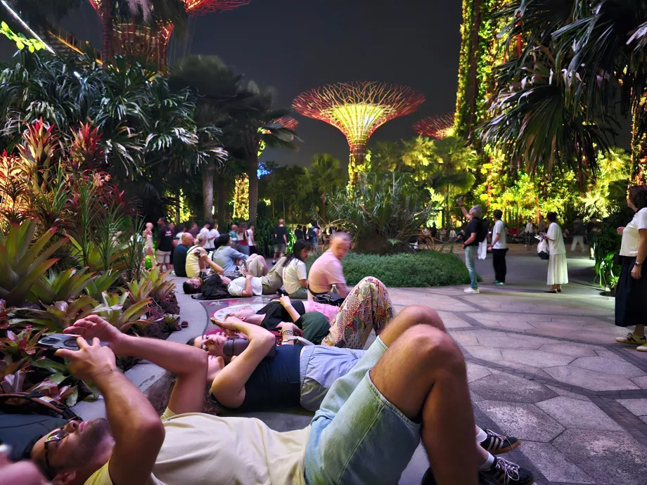 Ραψωδία του κήπου