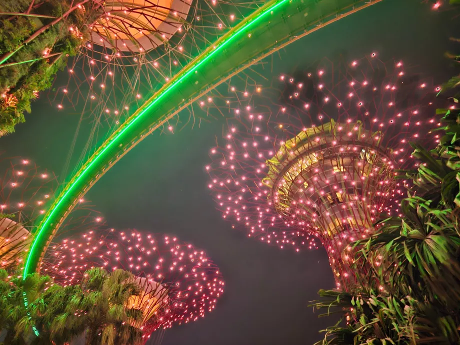 Ραψωδία του κήπου