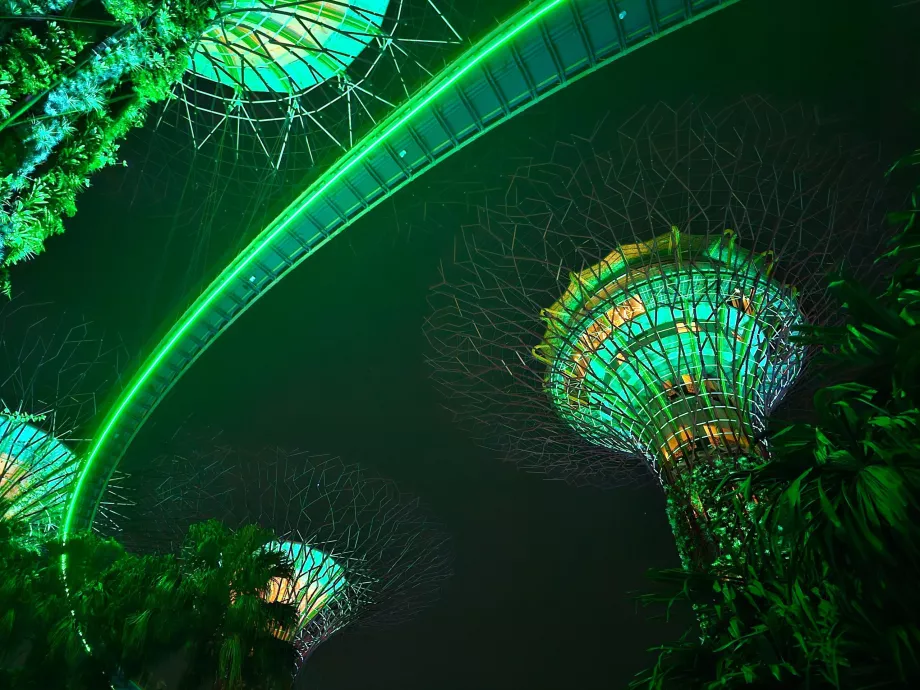 Ραψωδία του κήπου