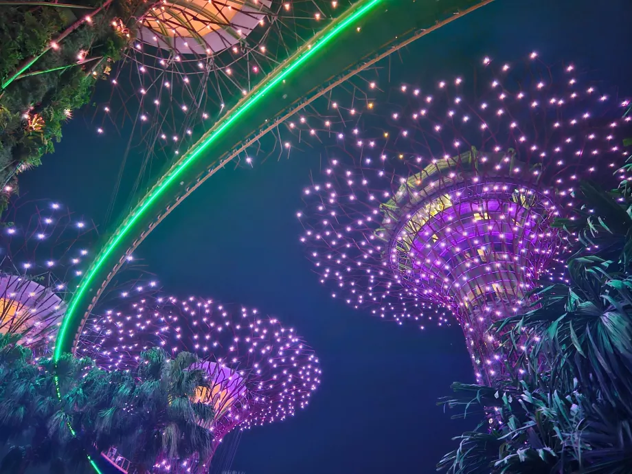 Ραψωδία του κήπου