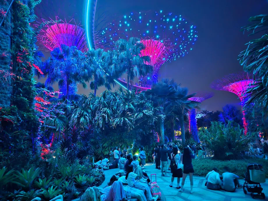 Ραψωδία του κήπου