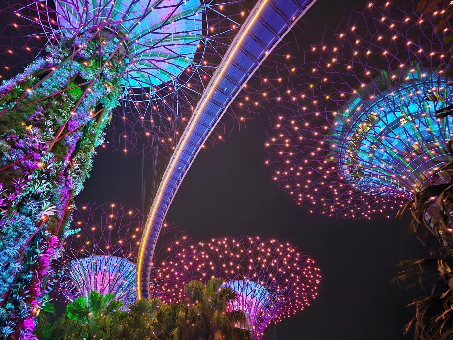 Ραψωδία του κήπου