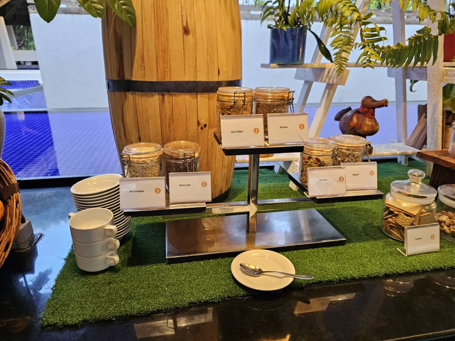 Μούσλι και γκρανόλα