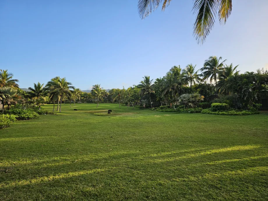 Κήπος ξενοδοχείου