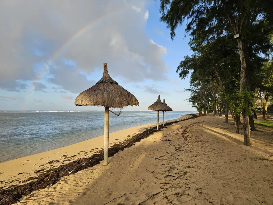 Παραλία ξενοδοχείου