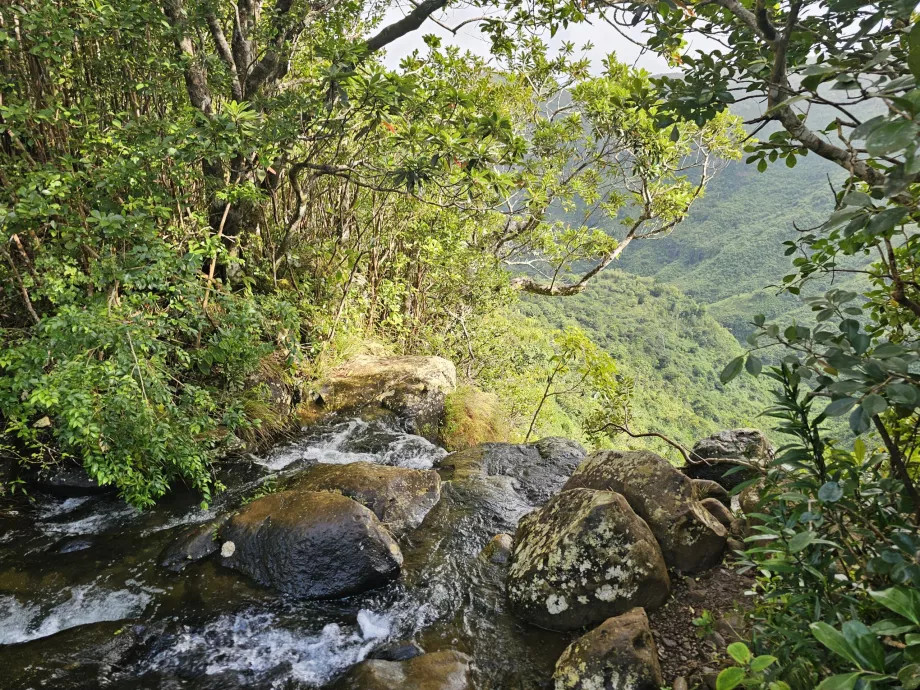 Βρόχος Machabee Loop