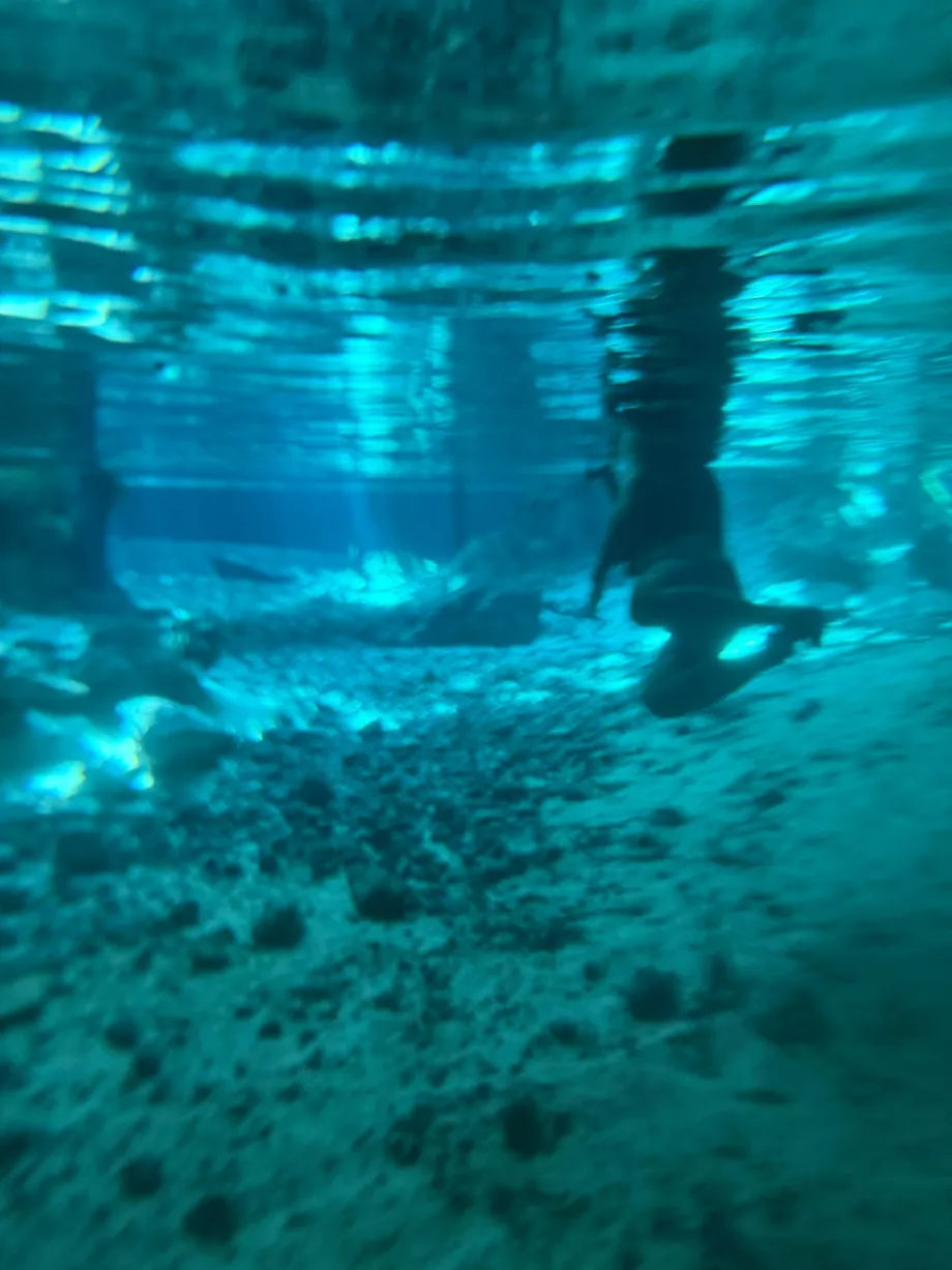 Θέα κάτω από το νερό στο Gran Cenote