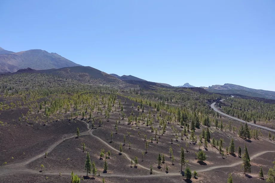Τοπίο του Teide NP