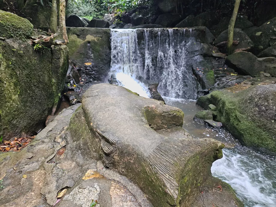 Μαγικός κήπος Tamrin