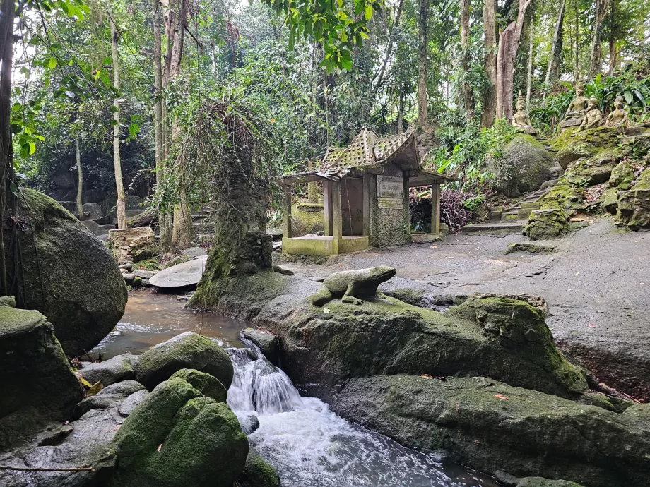Μαγικός κήπος Tamrin