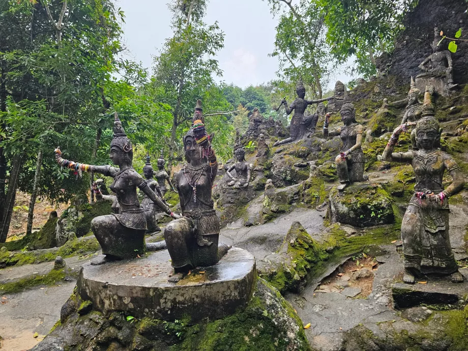 Μαγικός κήπος Tamrin