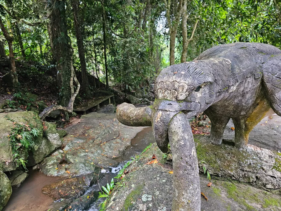 Μαγικός κήπος Tamrin