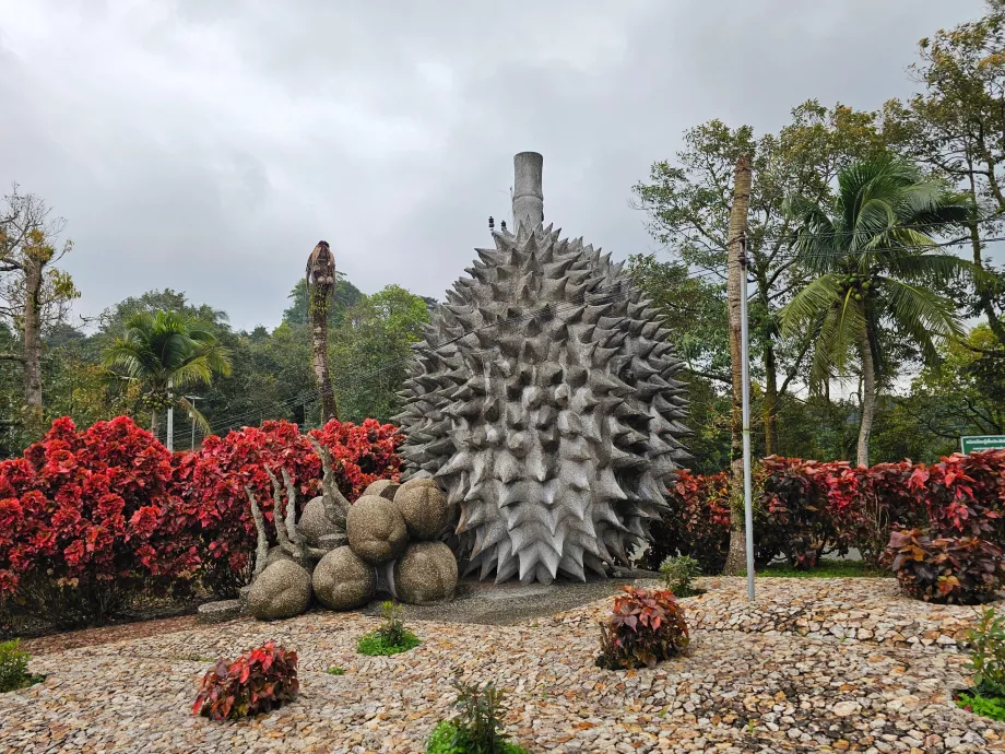 Μαγικά φρούτα πέτρας