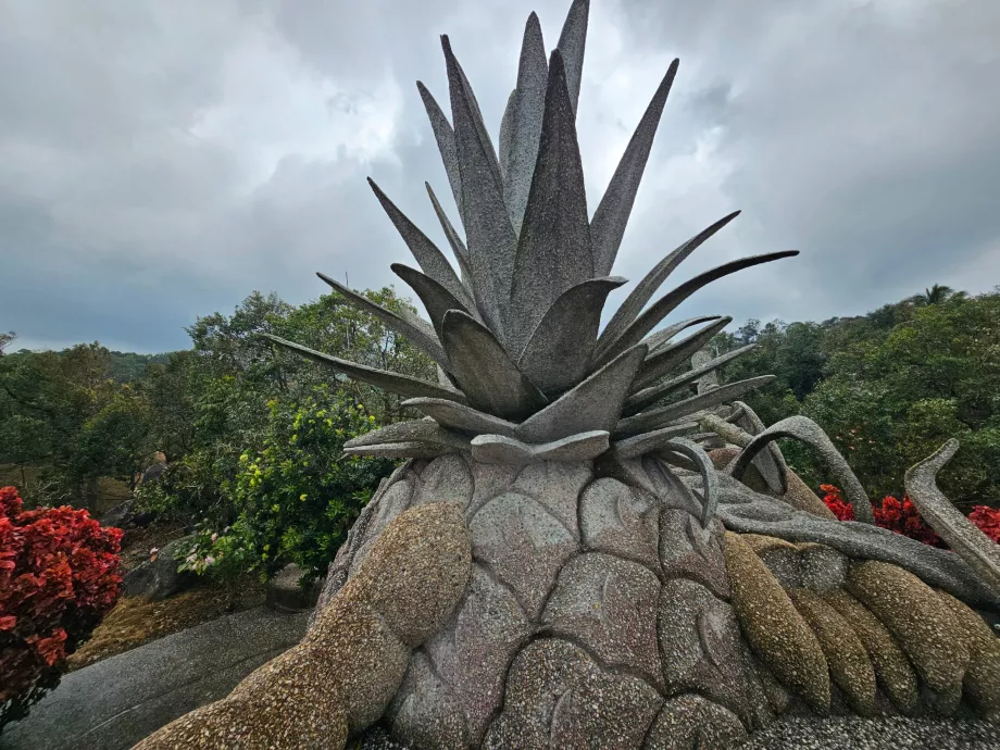 Μαγικά φρούτα πέτρας