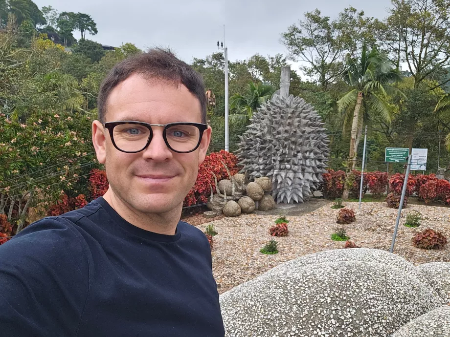 Μαγικά φρούτα πέτρας